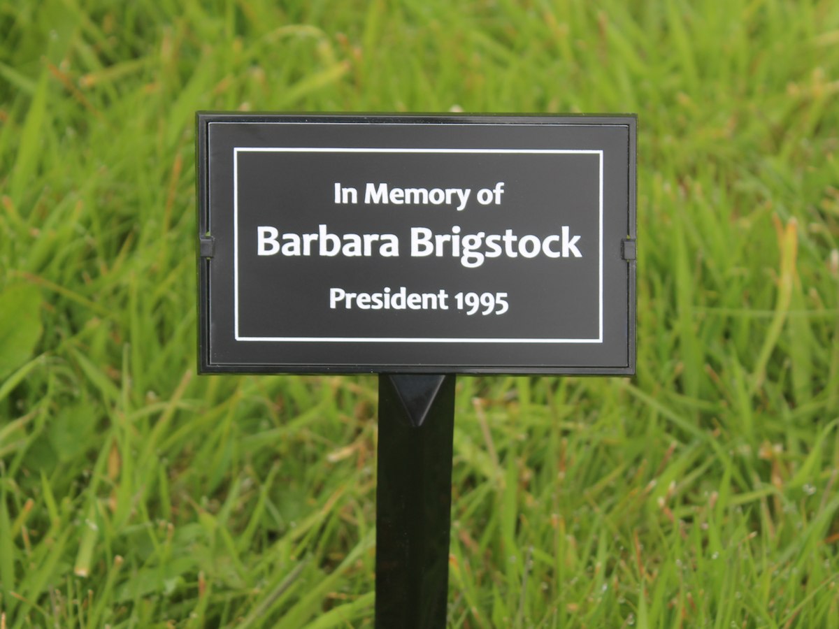 Plant Label Stake / Grave Marker - Plastic