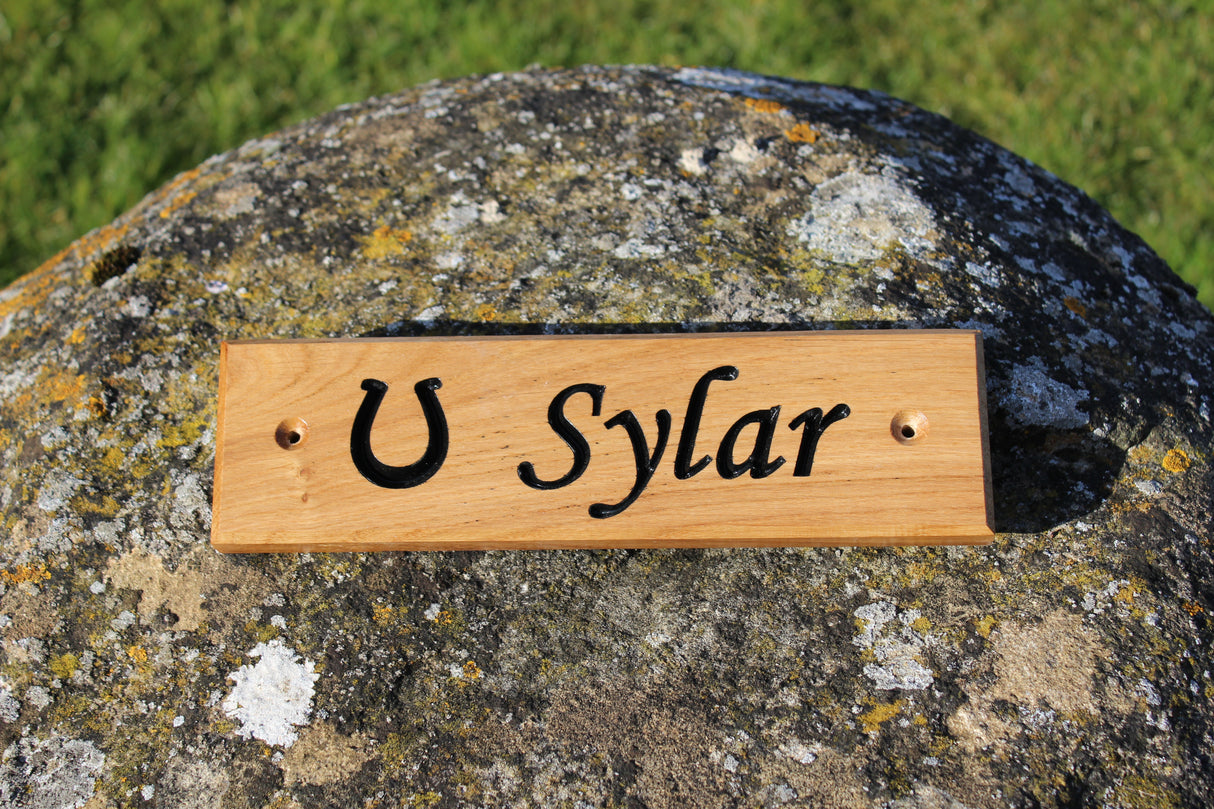 Stable Sign