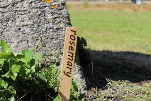 Plant / Garden Seed Markers