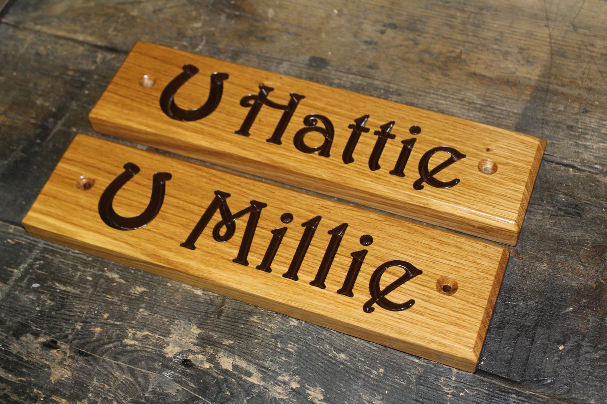 Stable Sign