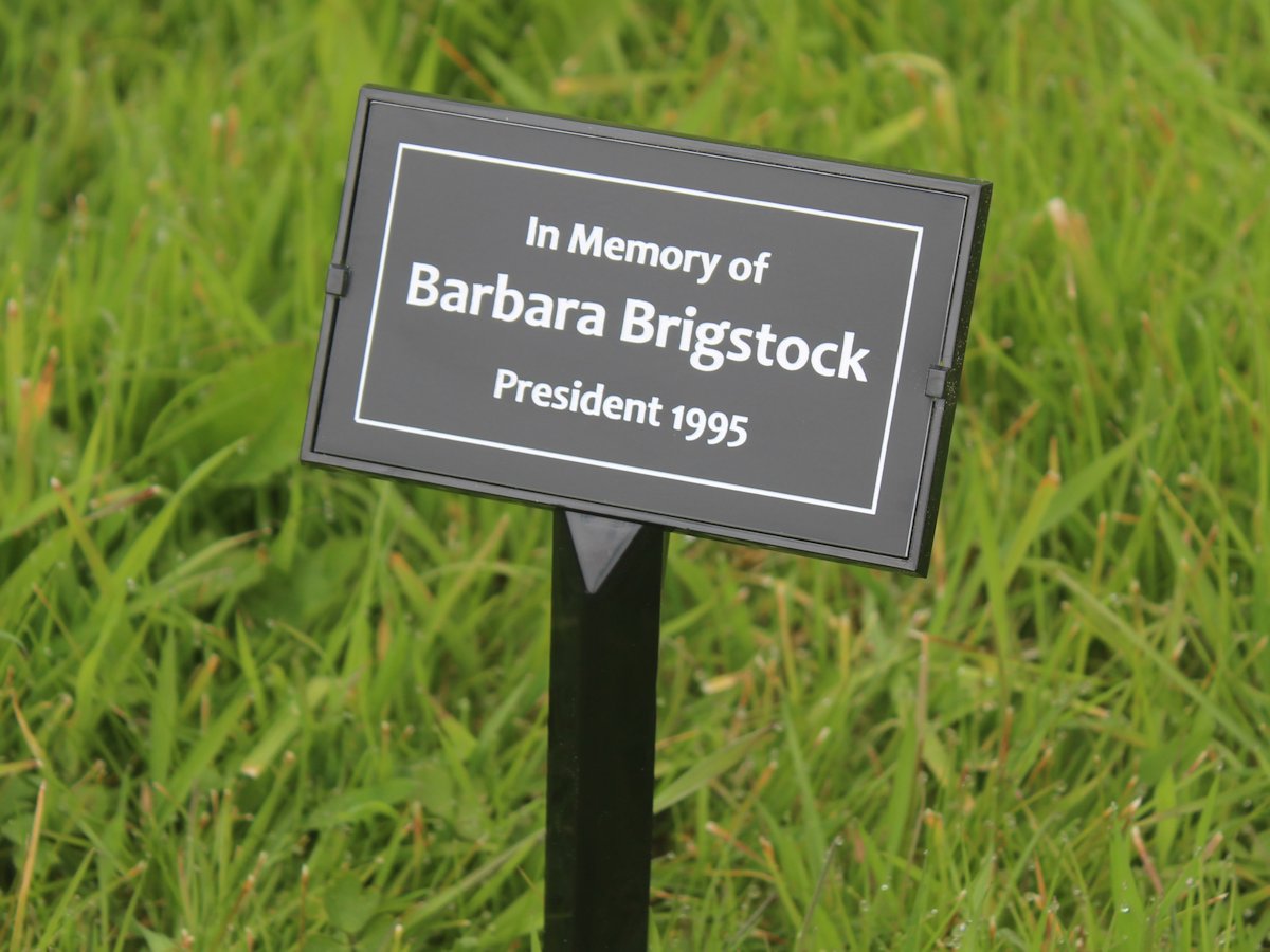 Plant Label Stake / Grave Marker - Plastic